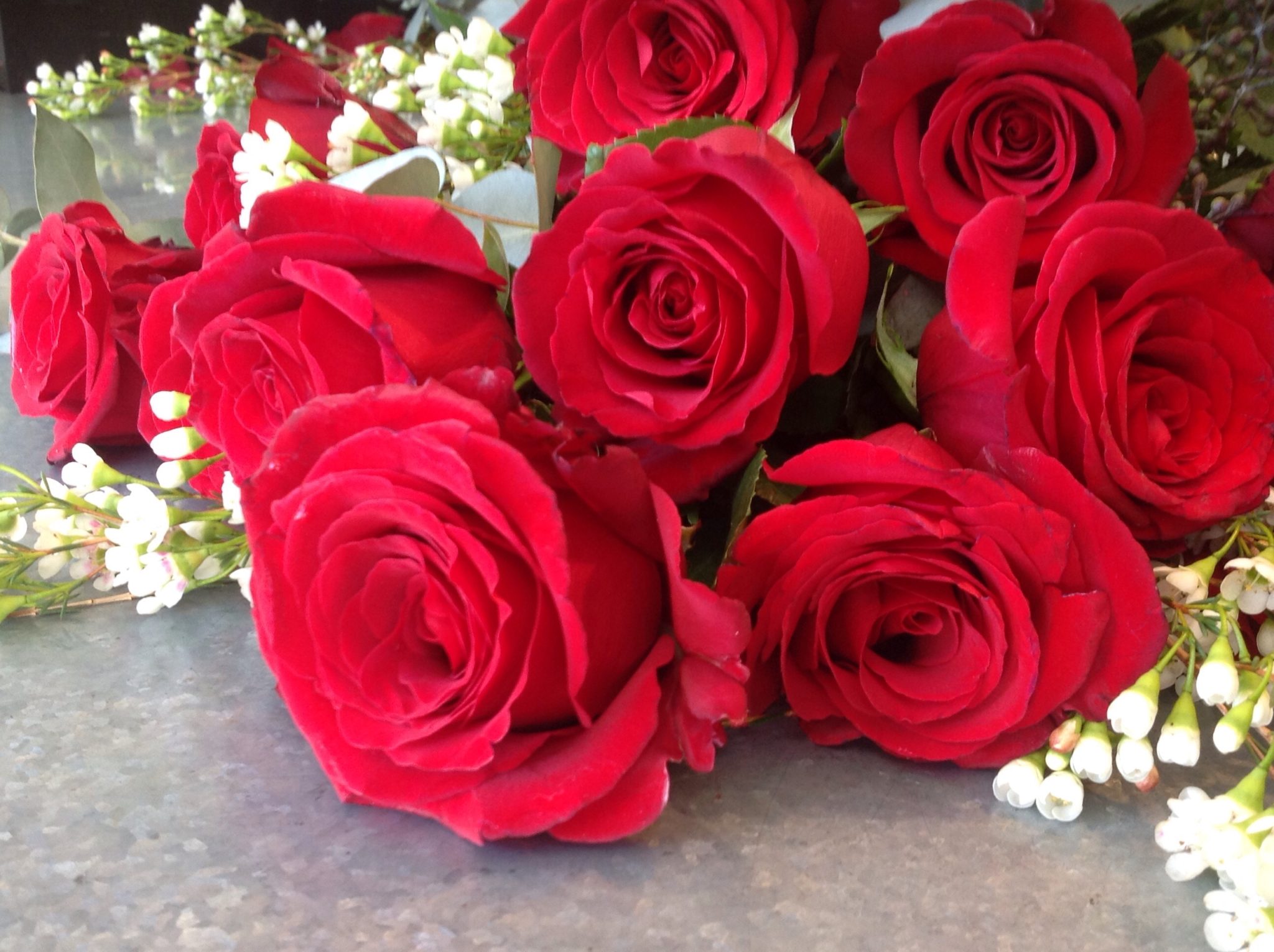 Expert Rose & Flower Care Tips
