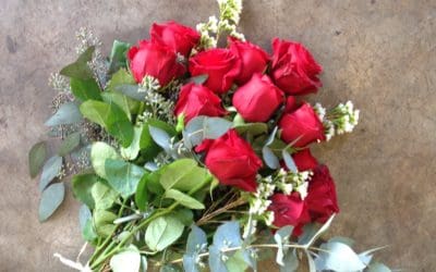 Expert Valentine Rose Care Tips