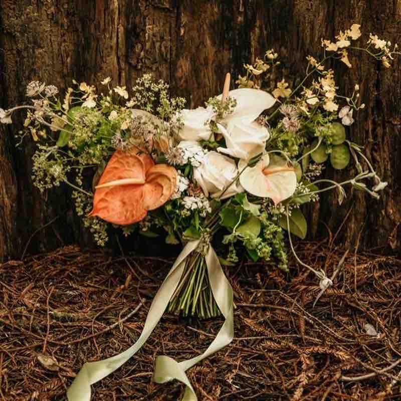 Sara Bride Bouquet